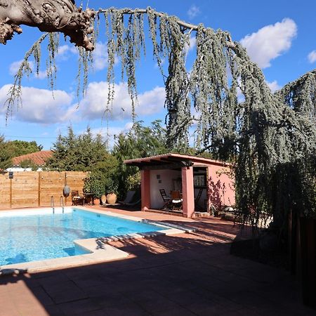 El Cedre Blau Vivienda Con Piscina En Granollers Βίλα Εξωτερικό φωτογραφία