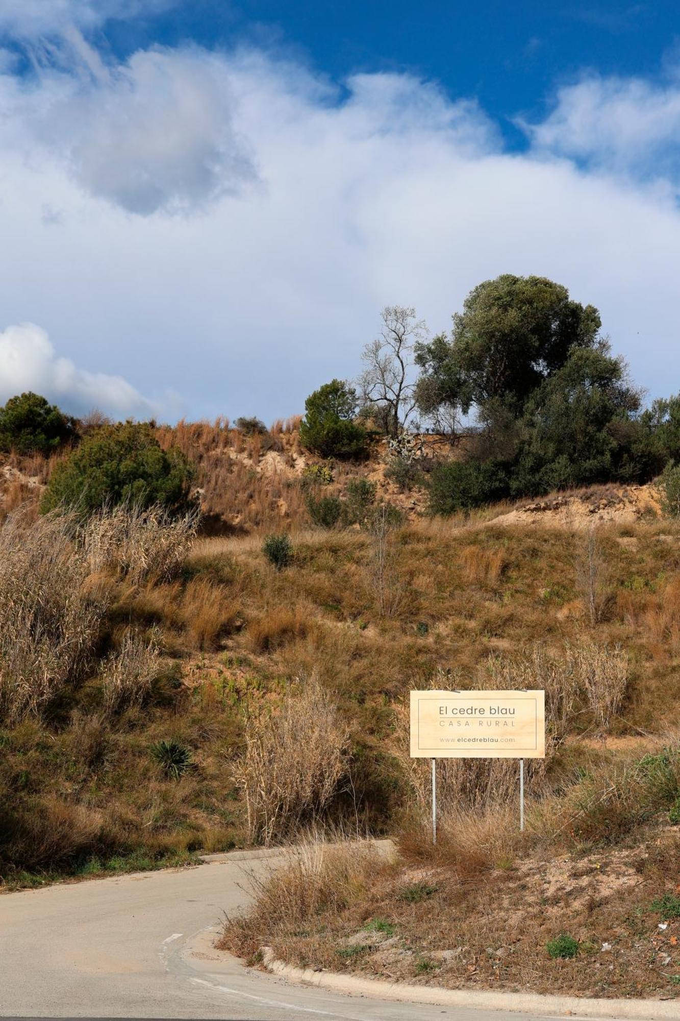 El Cedre Blau Vivienda Con Piscina En Granollers Βίλα Εξωτερικό φωτογραφία